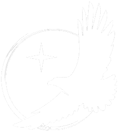 default-logo